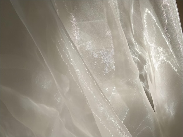 Organza in wit en beige of champagnekleur close-up Lichtgewicht transparante tule gordijnen onder zijverlichting
