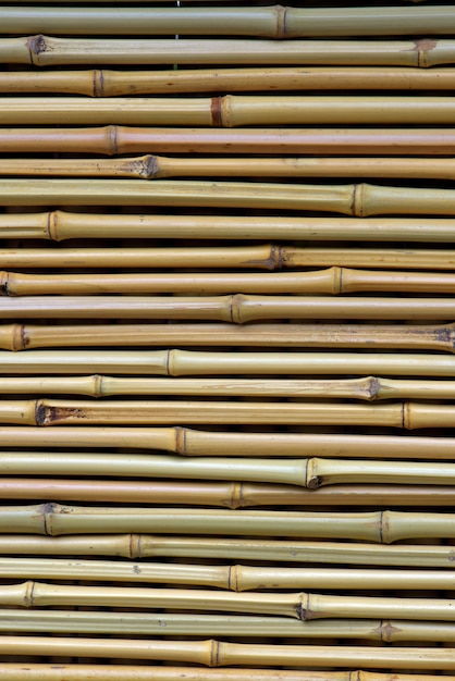 Photo oriental style curtain detail made of bamboo rods