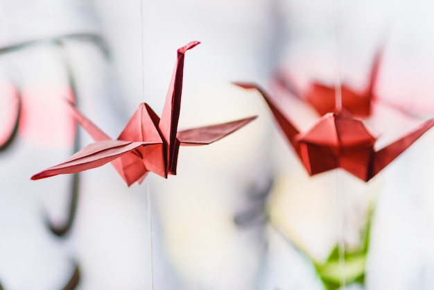 Origami hangs on the background of hieroglyphs