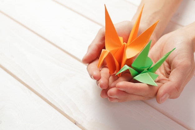 Оригами документы крупным планом