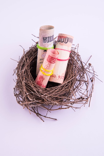 Original bird's nest with rolls indian paper currency notes. New business starting by banknotes