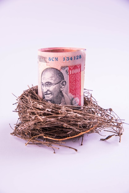 Original bird's nest with rolls indian paper currency notes. New business starting by banknotes