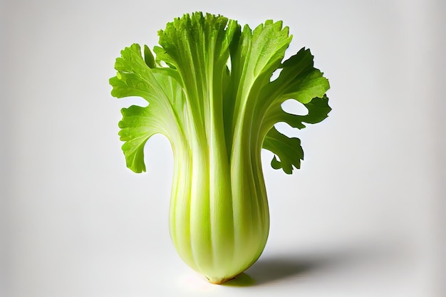 Original Fresh One natural Celery