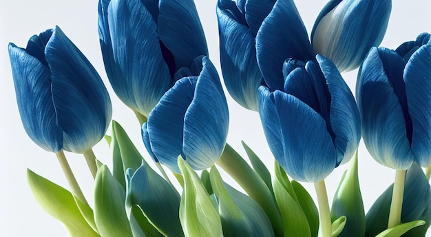 Premium Photo | Original tulip flower blue for design or unusual gift