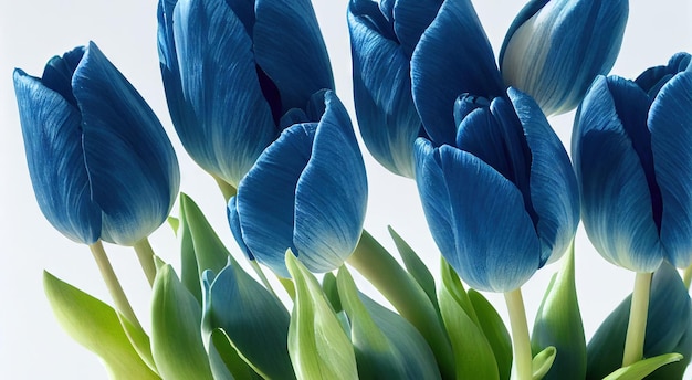 Foto fiore di tulipano originale blu per design o regalo insolito