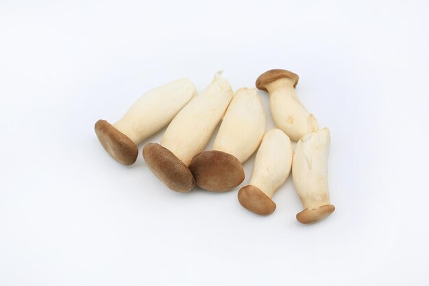 Orinji Mushrooms on white isolated background