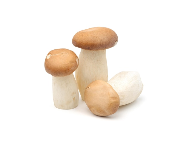 Orinji-paddestoelen op witte geïsoleerde achtergrond