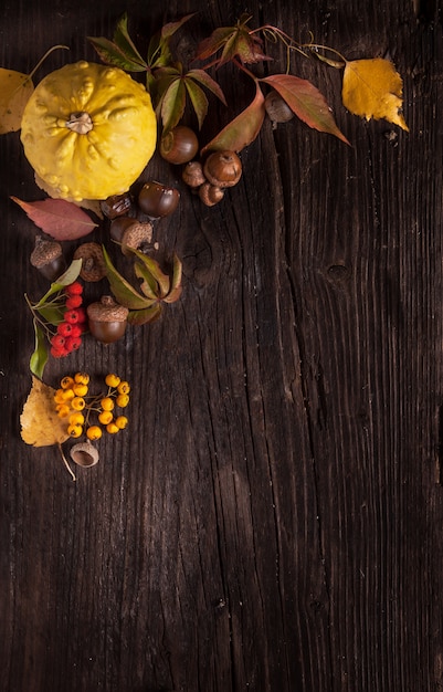Фото Орнамент с тыквой и осенними листьями