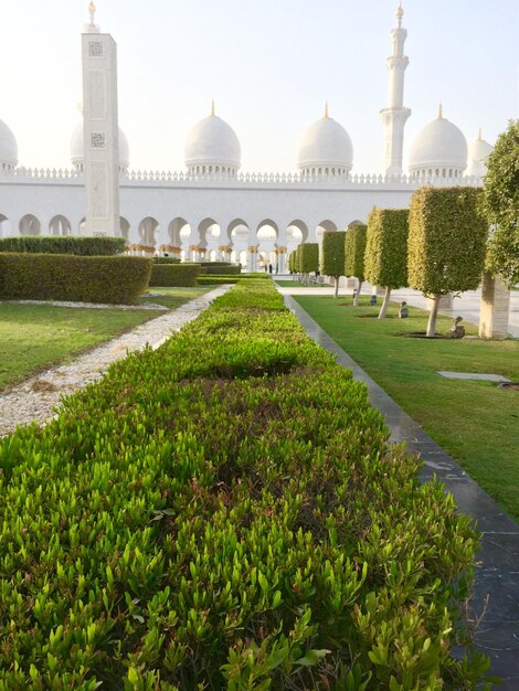 Ornamental garden at sheikh zayed mosque