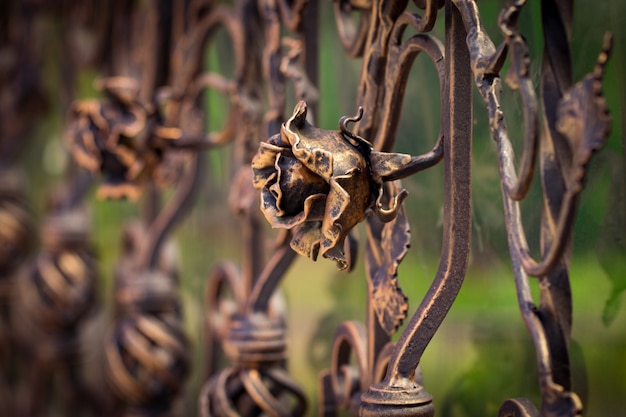 Foto elementi decorati in ferro battuto della decorazione del cancello in metallo