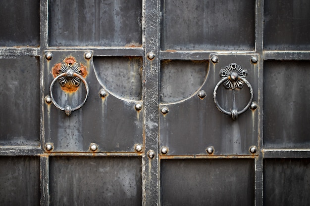 Ornate wrought-iron elements of metal gate decoration.