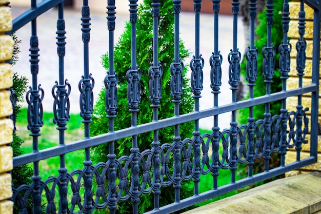 Ornate wrought-iron elements of metal gate decoration.