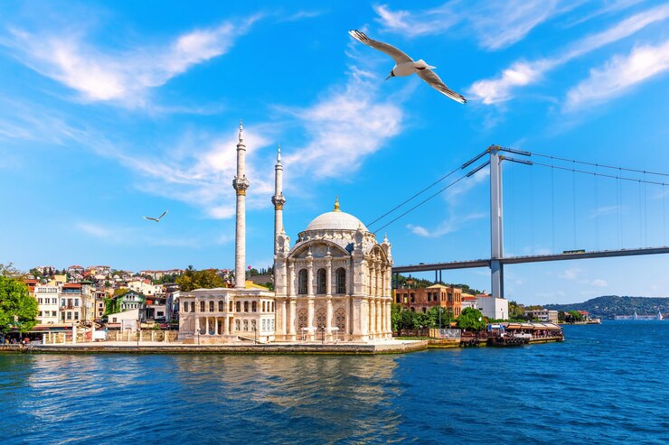 Ortakoy-moskee en een deel van de Bosporus-brug Istanbul Turkije