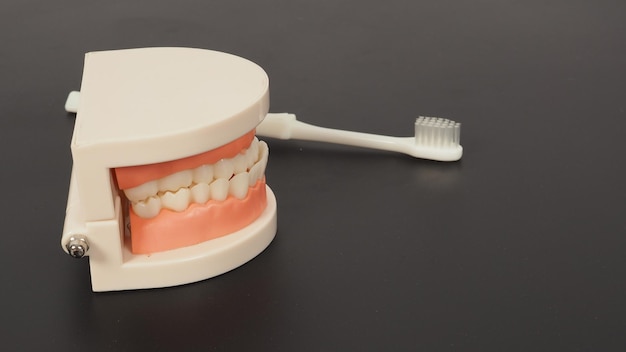 Ортодонтическая модель зубов и зубной щетки на черном фоне
