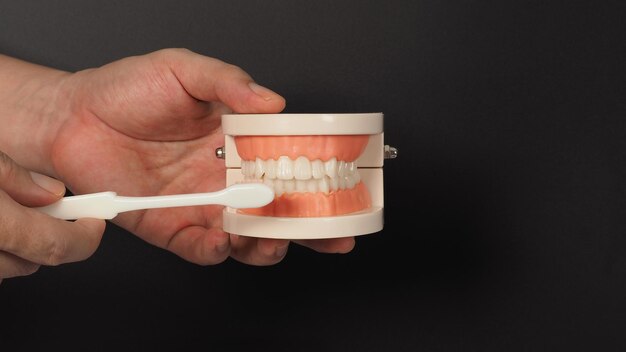 Ортодонтическая модель зубов и зубной щетки в руке на черном фоне.