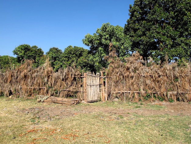 The Orthodox monastery in the heart of Africa, Ethiopia