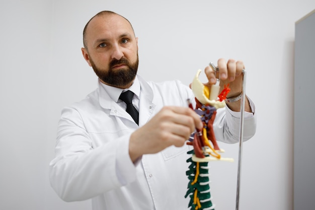 해부학 척추 모델을 보여주는 정형 외과 의사