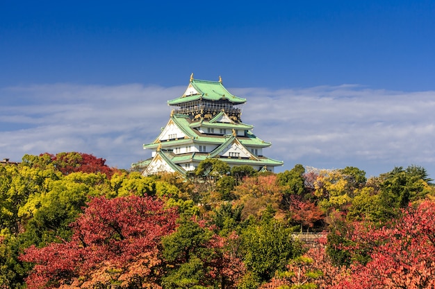 Osaka Castle during autumn under a beautiful blue sky