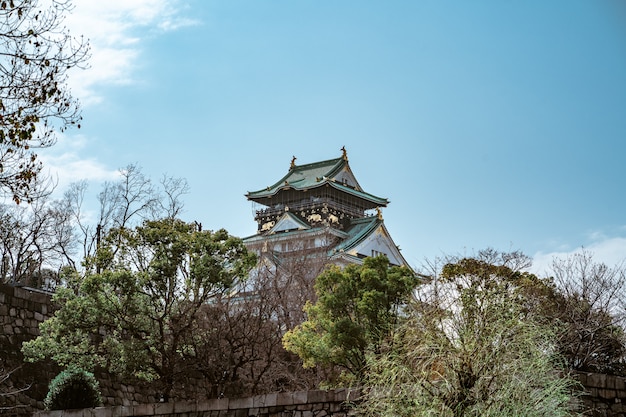 ぼやけた背景を持つ日本の大阪城