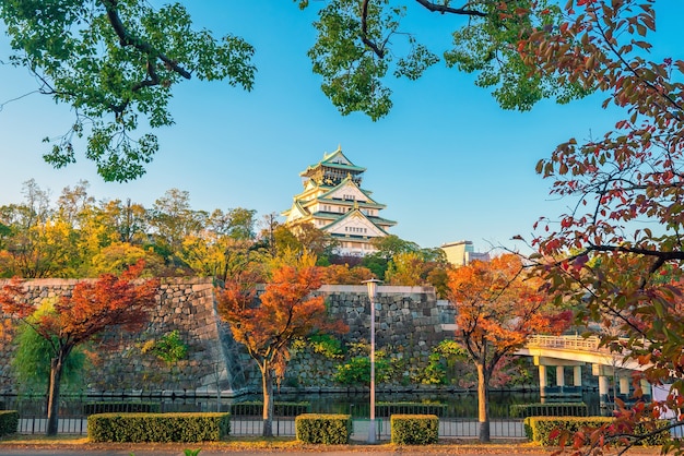 Osaka Castle in Osaka, Japan in autumn