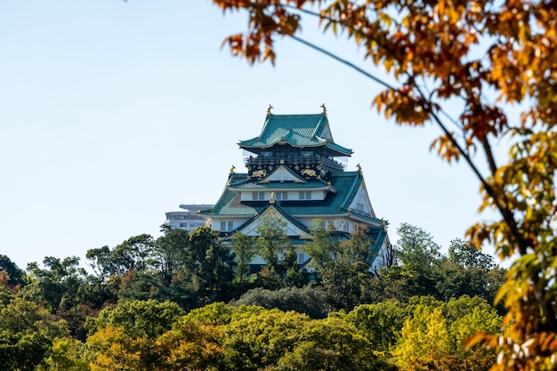 秋の紅葉と大阪の大阪城。日本旅行のコンセプト