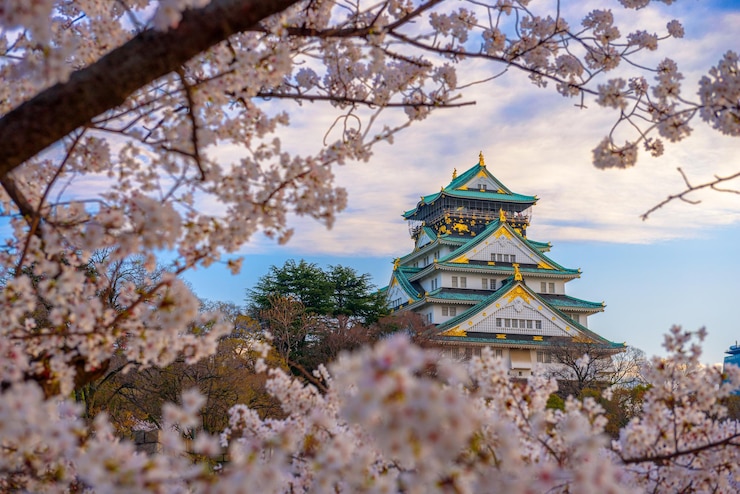 Photo osaka japan at osaka castle during spring season