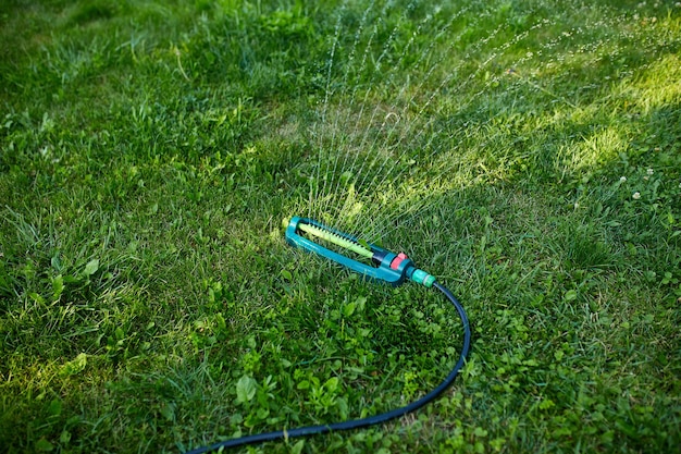 집 마당, 여름 또는 봄에 푸른 잔디 위에 물을 뿌리는 진동하는 정원 스프링클러