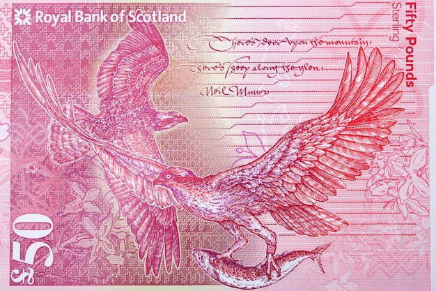 Osprey a portrait from Scottish money