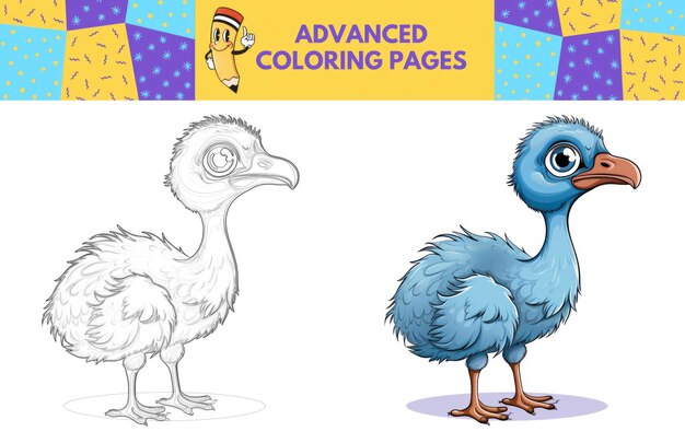 Ostrich coloring page with colored example for kids Coloring book