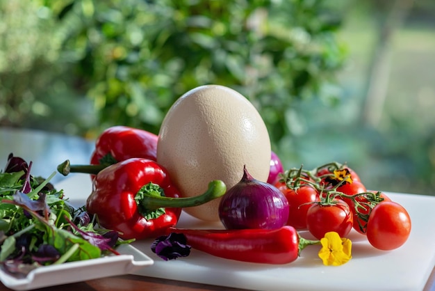 Photo ostrich egg farm organic vegetables tomatoes paprika onion chili salad greens ingredients for cooking omelet shakshuka soft selective focus