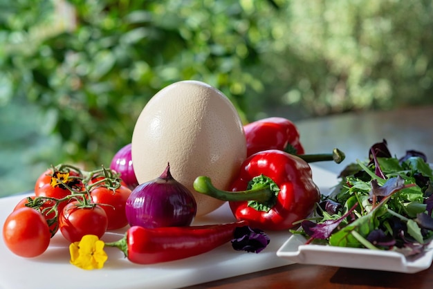 Photo ostrich egg farm organic vegetables tomatoes paprika onion chili salad greens ingredients for cooking omelet shakshuka soft selective focus