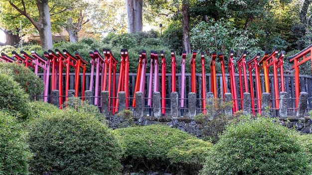 オトメ・イナリ神社側景色