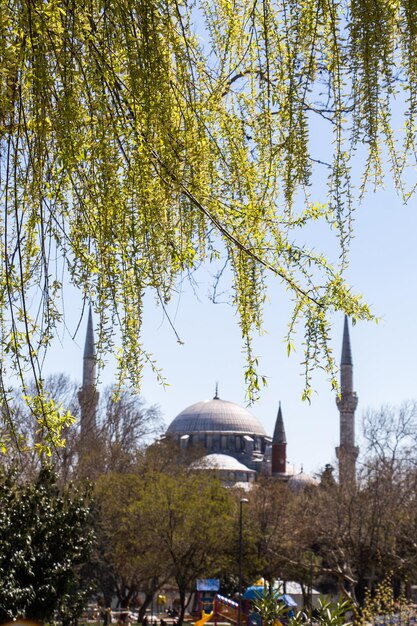 Ottoman style mosque in Istanbul