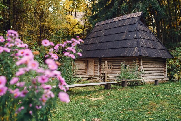 Oud blokhuis in het herfstbos.