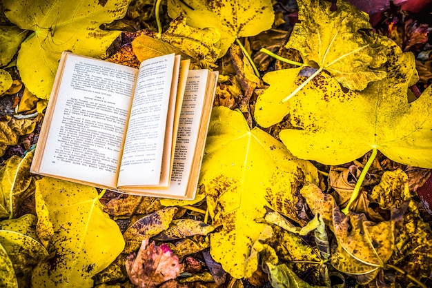 Oud boek in de herfstbladeren