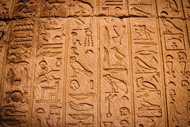 Oud-Egyptisch schrift, Egyptische hiërogliefen, muurinscripties