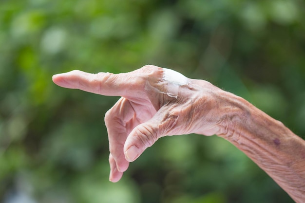 Oud en jong hand in hand