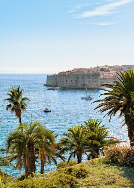 Oud fort van Dubrovnik in de Adriatische Zee, Kroatië. Uitzicht tussen palmbomen