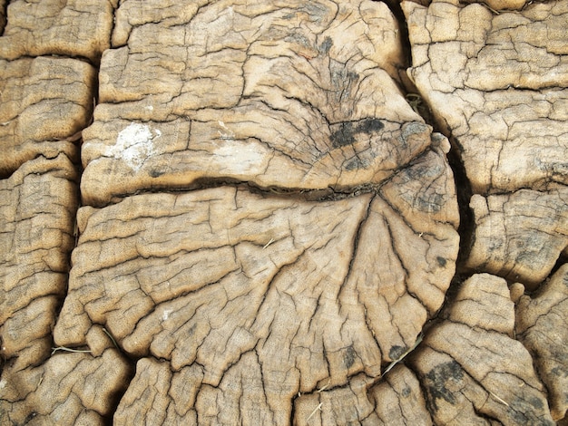 Oud gebarsten hout