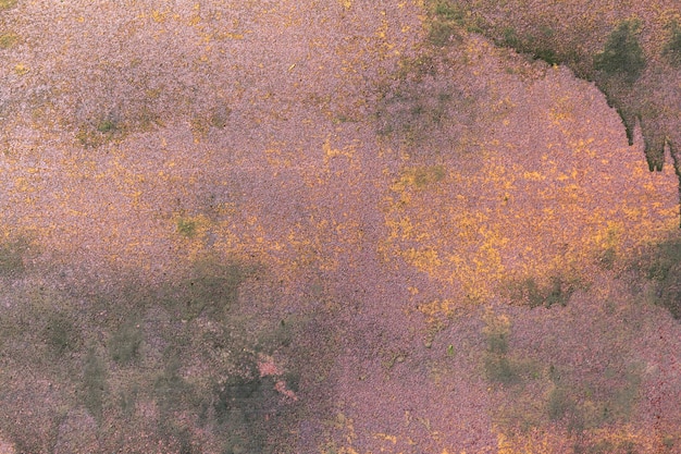 Oud gebarsten roestig verf achtergrondtextuurclose-up