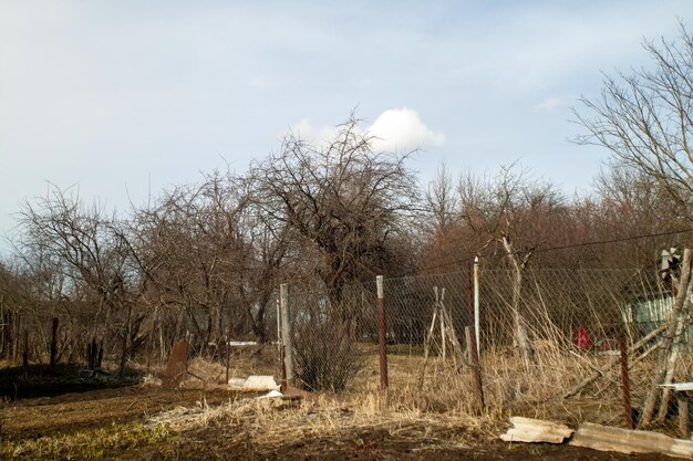 Oud houten huis in de tuin