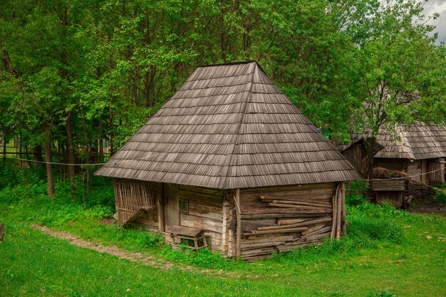 Oud houten huis in het bos horizontale foto