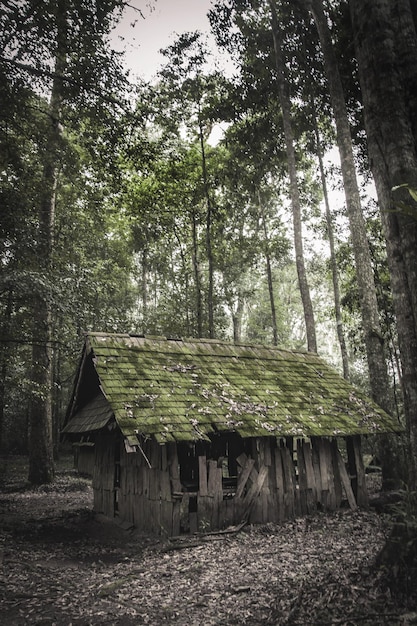 Oud houten huisje in het bos.