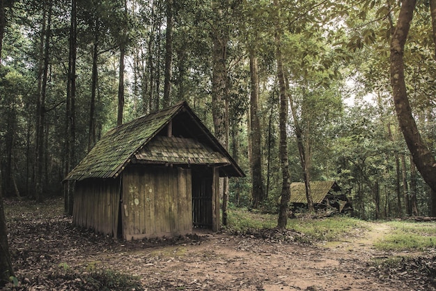 Oud houten huisje in het bos.