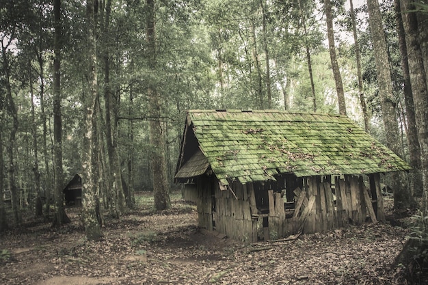 Oud houten huisje in het bos.