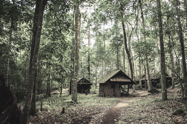 Oud houten plattelandshuisje in het bos