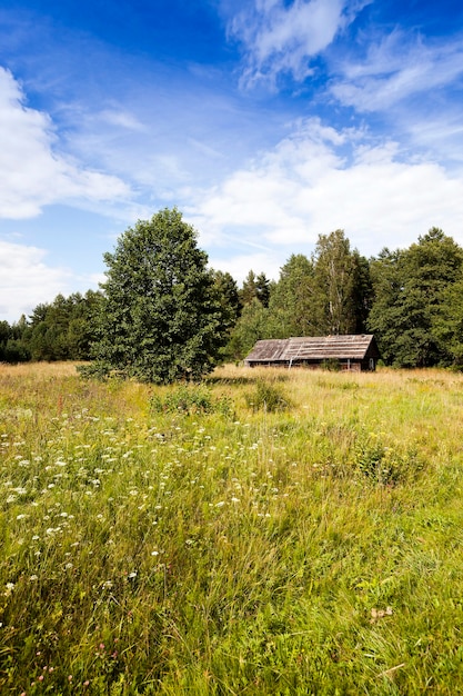 Oud houten verlaten huis op het platteland. Wit-Rusland.