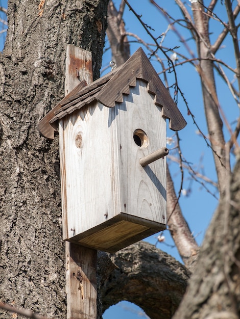 Oud houten vogelhuisje bevestigd aan een boom in de lente. Handgemaakte plek voor wilde vogels