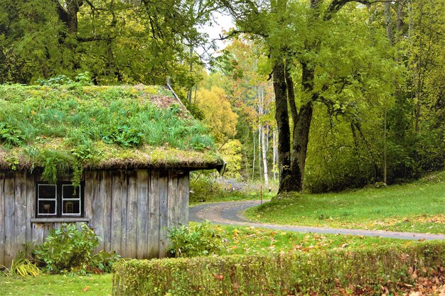 Foto oud huis in het bos.