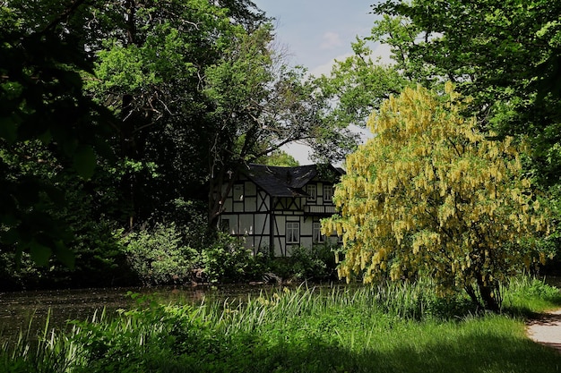 oud huis in het bos